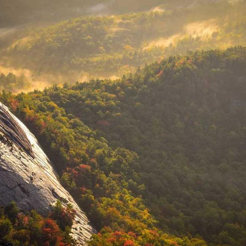 C&A Dámska sukňa Polyester - Obrázok 3