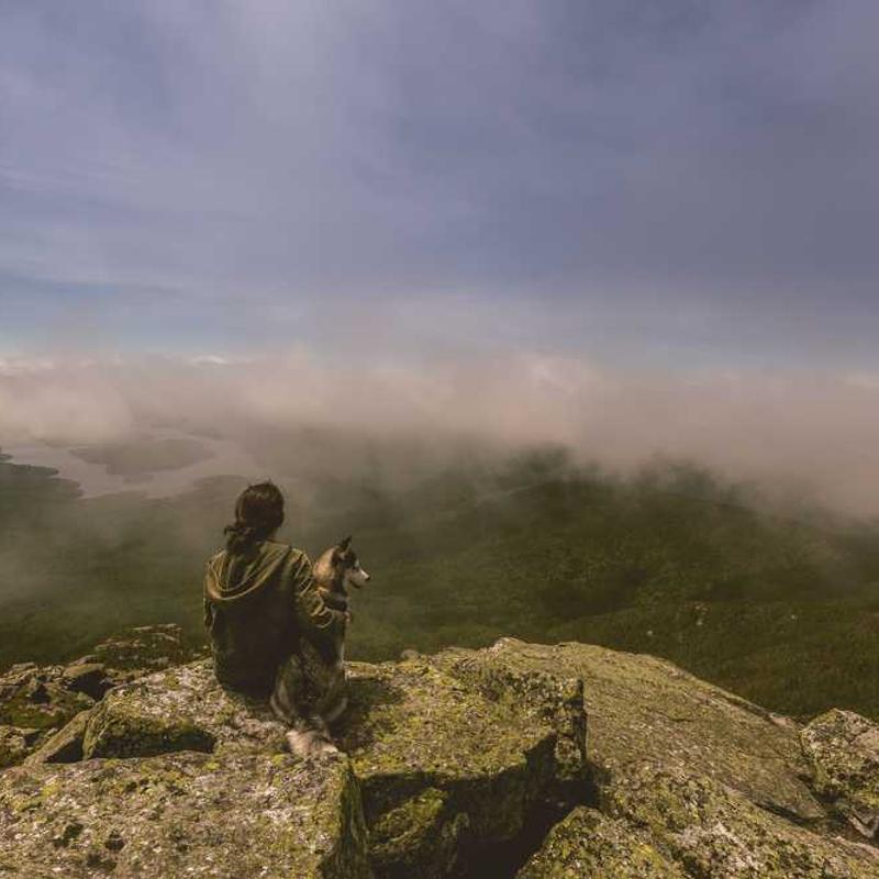 H&M Dámska blúzka Vlna - Obrázok 4