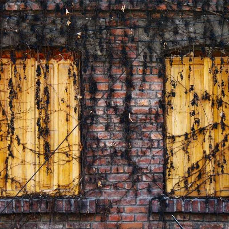 Reserved Dámske čižmy Polyester - Obrázok 4