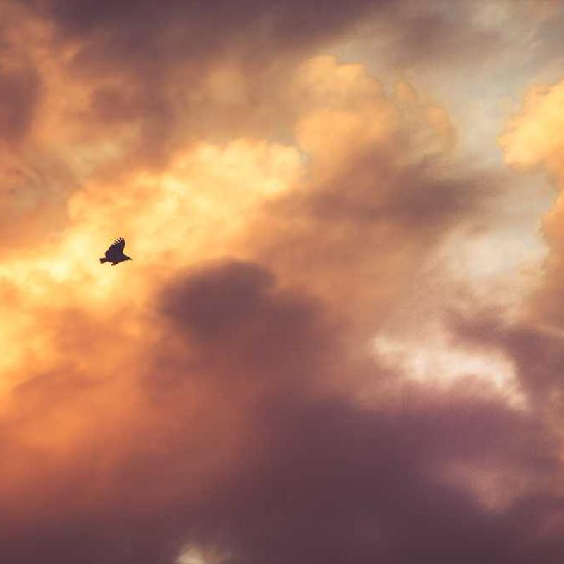 Puma Pánske nohavice Bavlna - Obrázok 3