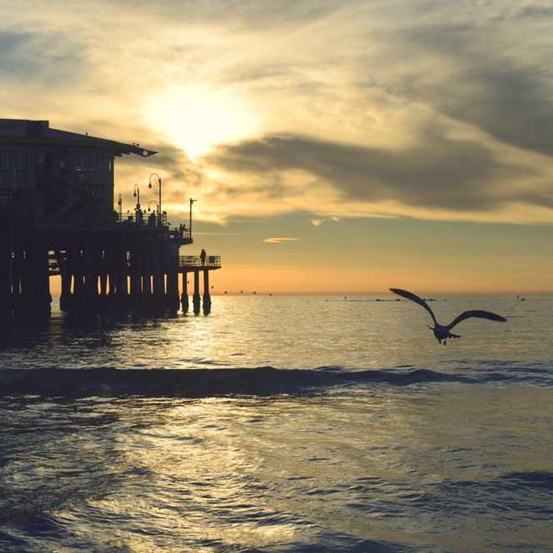 Puma Pánske nohavice Bavlna - Obrázok 4