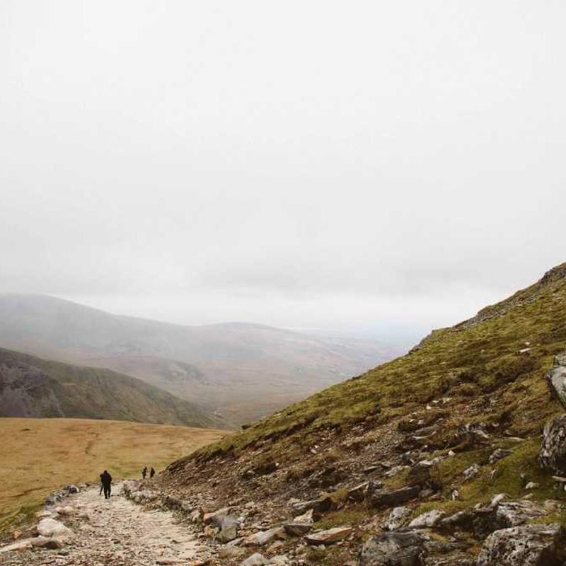 ZARA Dámska blúzka Koža