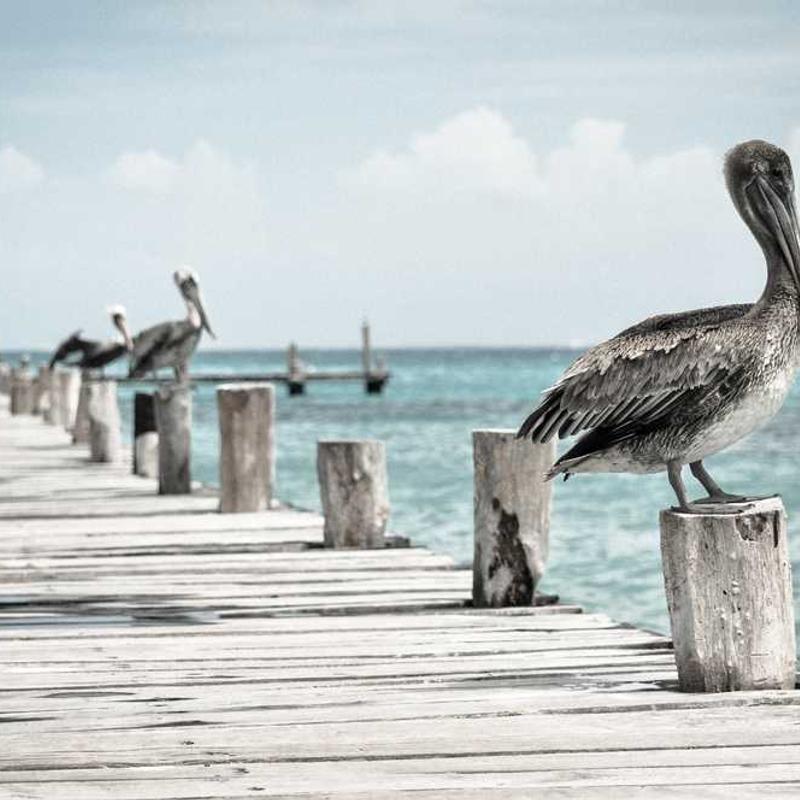 Calvin Klein Dámska blúzka ľan