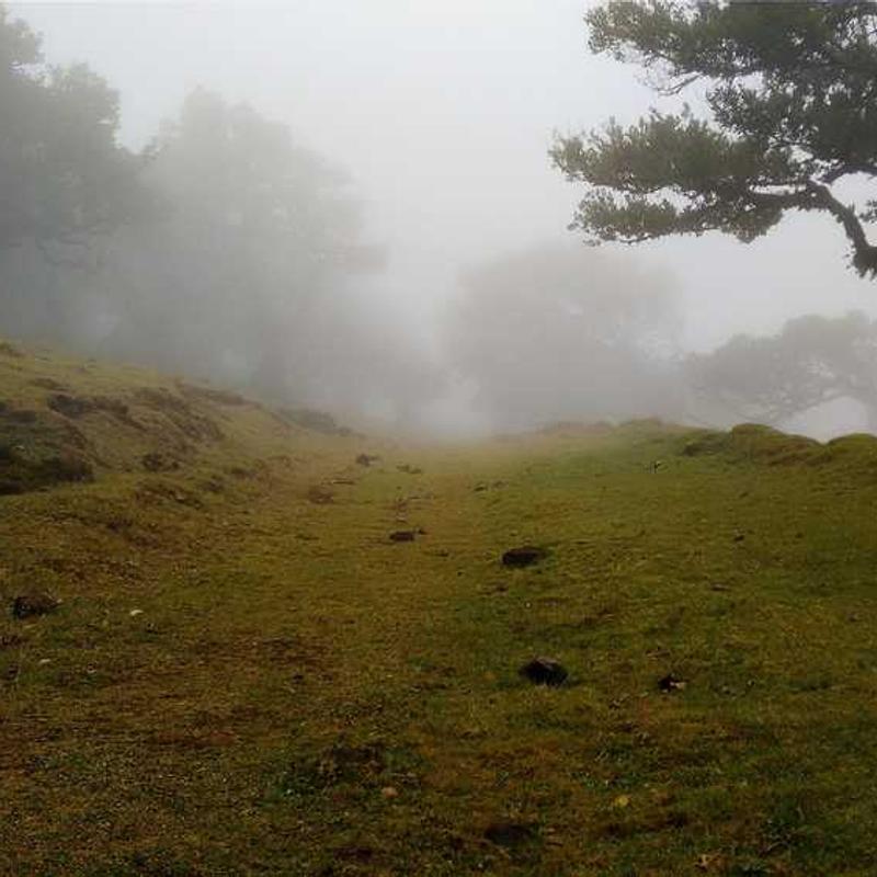 Calvin Klein Pánska košeľa Syntetika